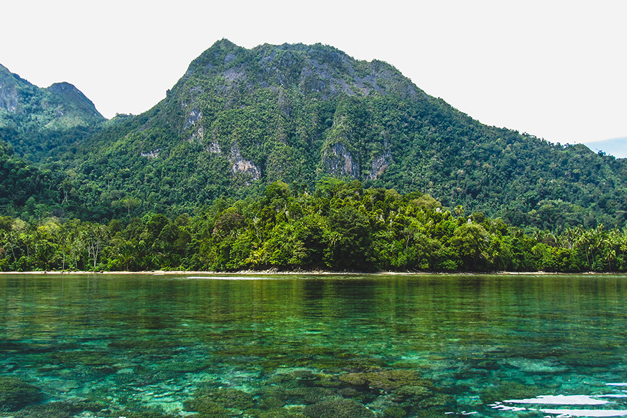 holiday in maluku - manusela national park