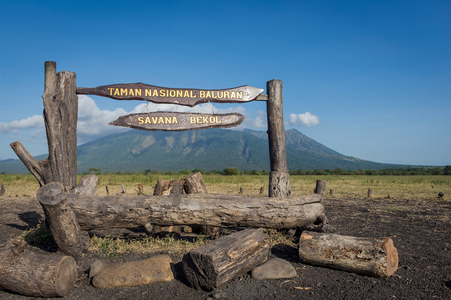 Unique Activities in East Java - baluran national park