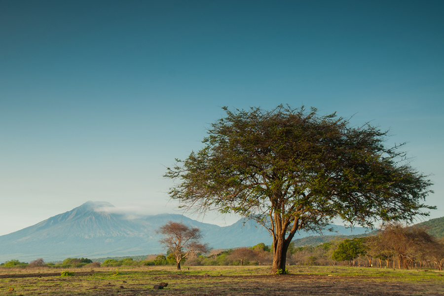 Unique Activities in East Java - baluran