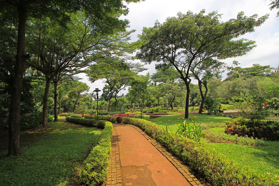 tabebuya park