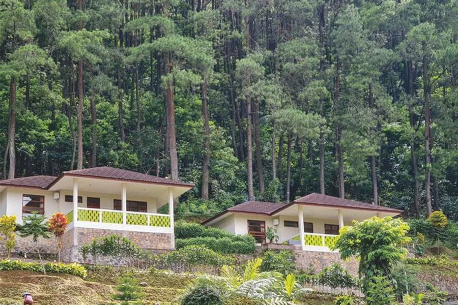 Pet-Friendly Villas in Jabodetabek - Villa Jabon Resort