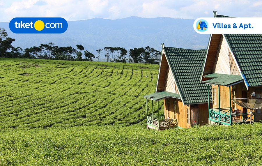 6 Accommodations Around Bandung with Tea Garden Views, Great for Relaxing!