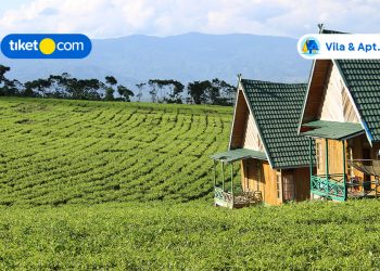 Penginapan Dekat Kebun Teh di Kawasan Bandung dan Sekitarnya, Kece Abis!