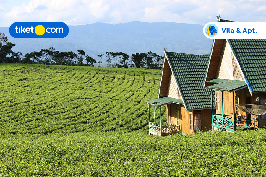 Penginapan Dekat Kebun Teh di Kawasan Bandung dan Sekitarnya, Kece Abis!