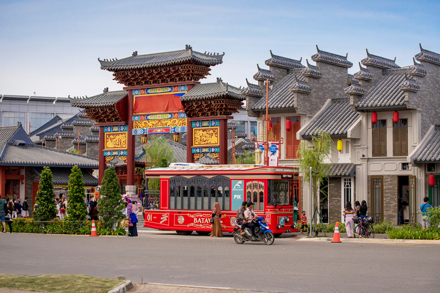 Celebrate the Chinese New Year