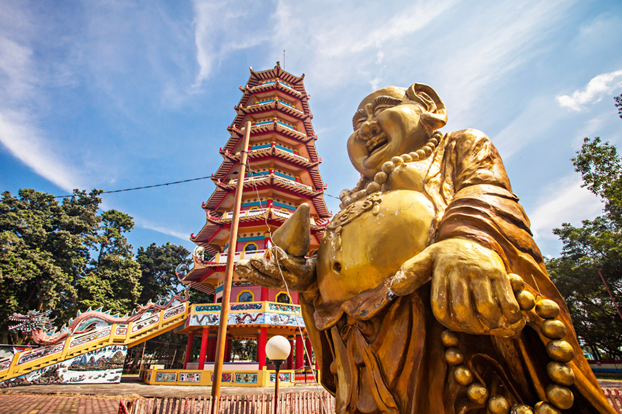 Celebrate the Chinese New Year