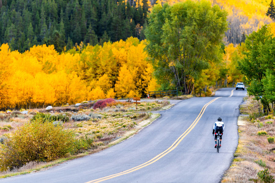 Rekomendasi Aktivitas di Aspen