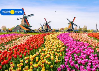 Backpacking Netherlands 101: Maximize Your Budget Holiday with These 5 Tips!