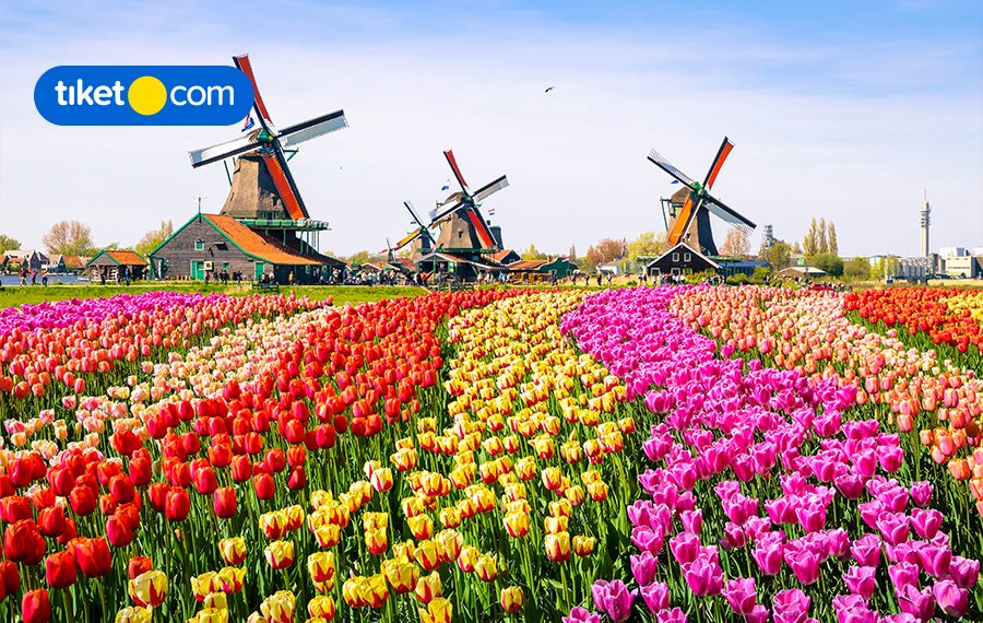 Liburan ke Belanda