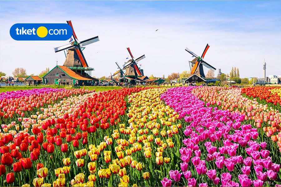 Mau Backpacking ke Belanda? Simak List Kota dan Tipsnya di Sini!