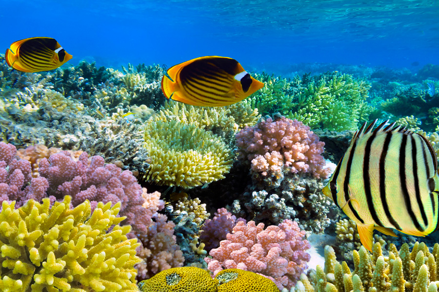 nature tours in bali