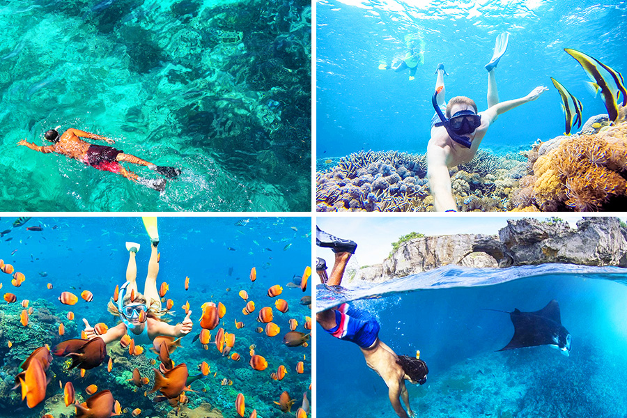 snorkeling in nusa penida