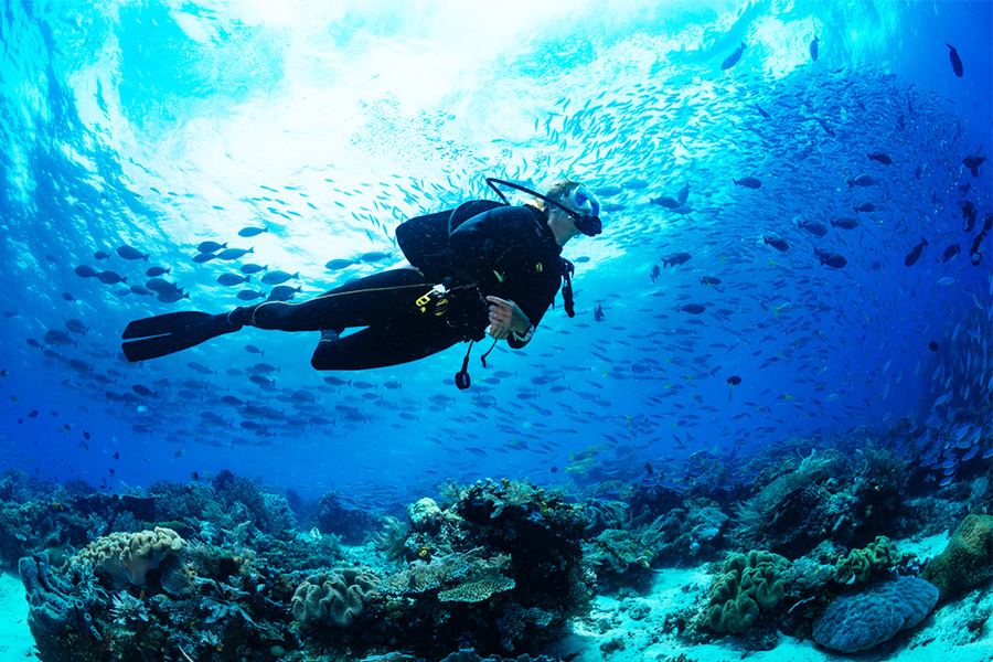 nature tours in bali