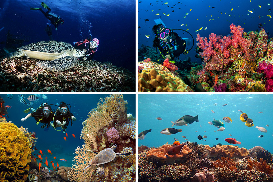 dive in karangasem