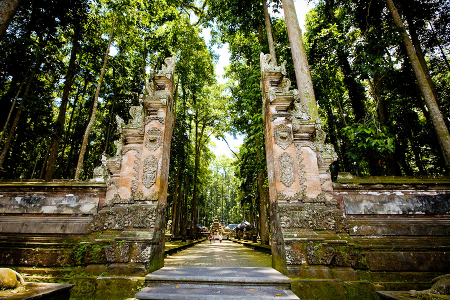 ubud monkey forest