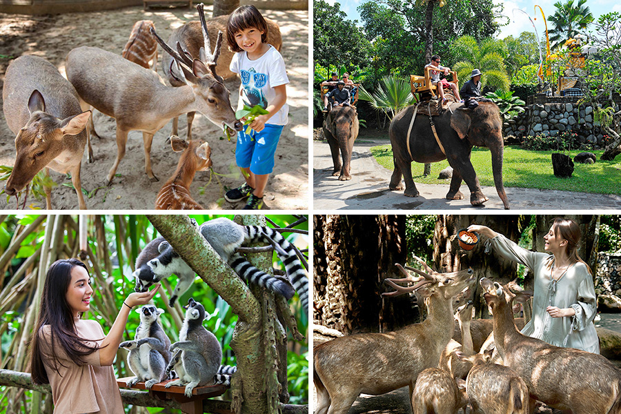 bali zoo