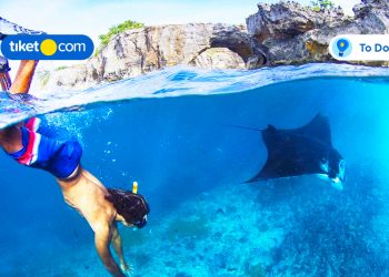 Ingin Makin Dekat dengan Satwa? 7 Paket Tur di Bali dan Lombok Ini Wajib Kamu Coba!