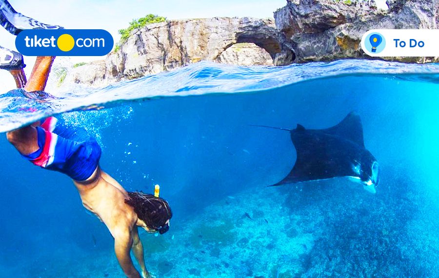 Ingin Makin Dekat dengan Satwa? 7 Paket Tur di Bali dan Lombok Ini Wajib Kamu Coba!