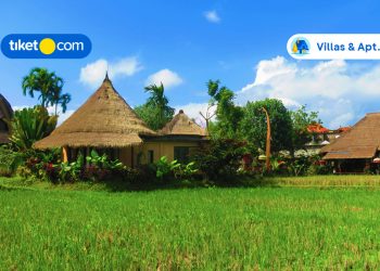 Wake Up with a View! 5 Villas in Canggu with Paddy Field Views