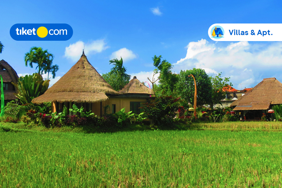 Wake Up with a View! 5 Villas in Canggu with Paddy Field Views