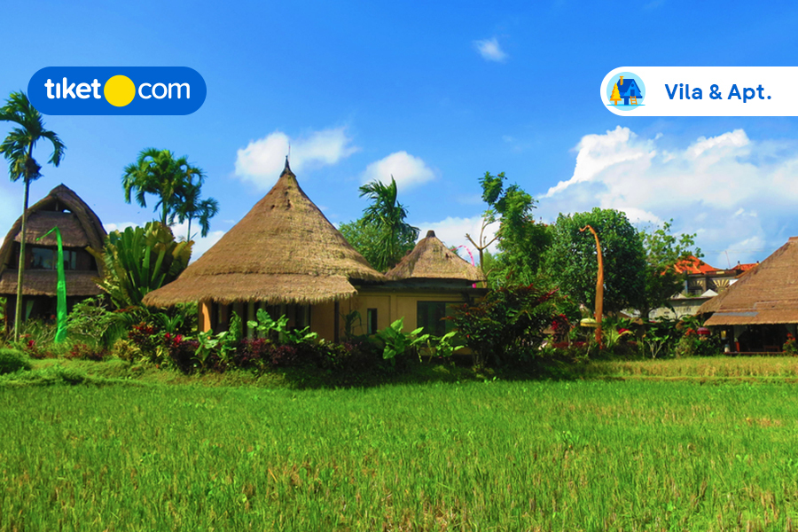 Simak Rekomendasi Vila di Canggu dengan View Sawah Ini, Mevvah Banget!