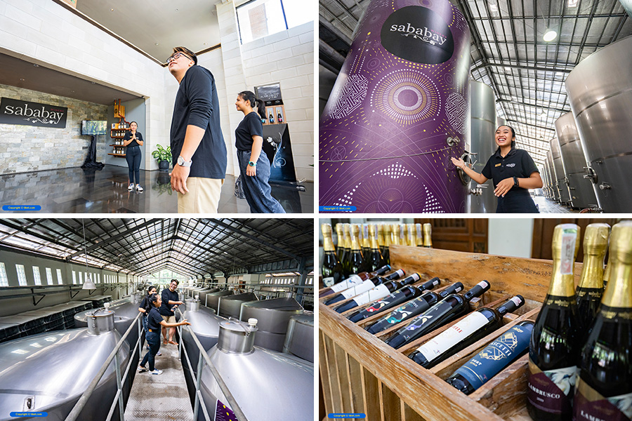 sababay winery