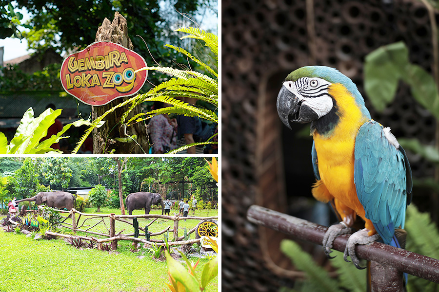 wisata dekat stasiun Jogja - Gembira Loka Zoo