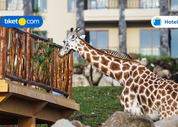 Hotel Dekat Taman Safari Prigen