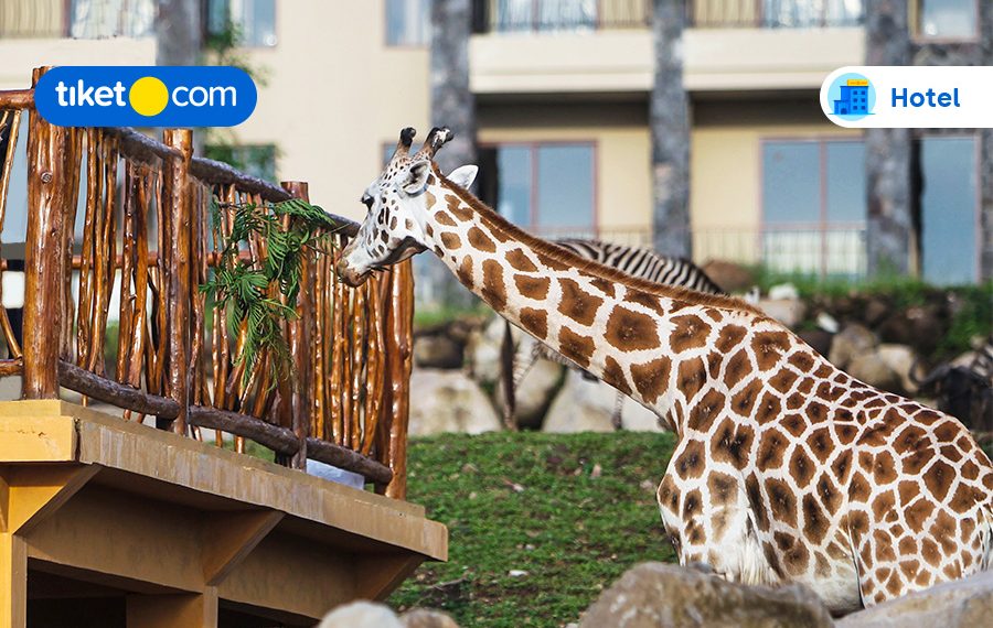 Hotel Dekat Taman Safari Prigen