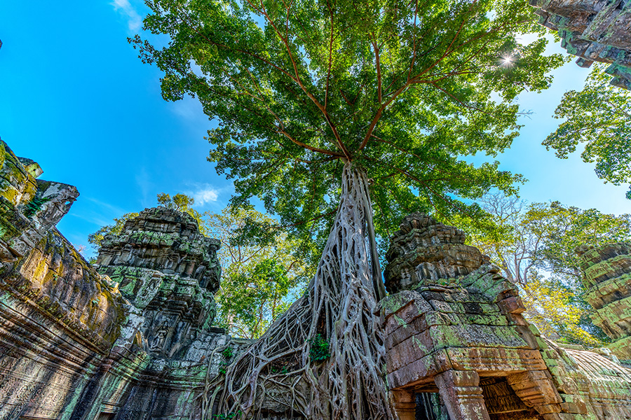 Ta Prohm