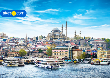 Melihat Anabul Cantik di Istanbul, Siap-Siap Dapetin Promo OTW ke Turki!