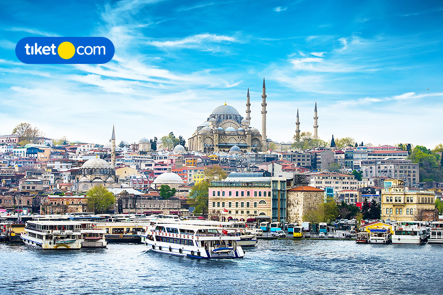See Adorable Cats in Istanbul, Catch OTW Promo to Turkey!