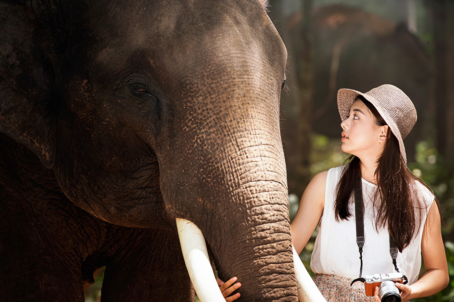 Bali Zoo 