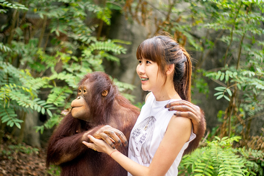Bali Zoo - Paket sarapan bareng orangutan