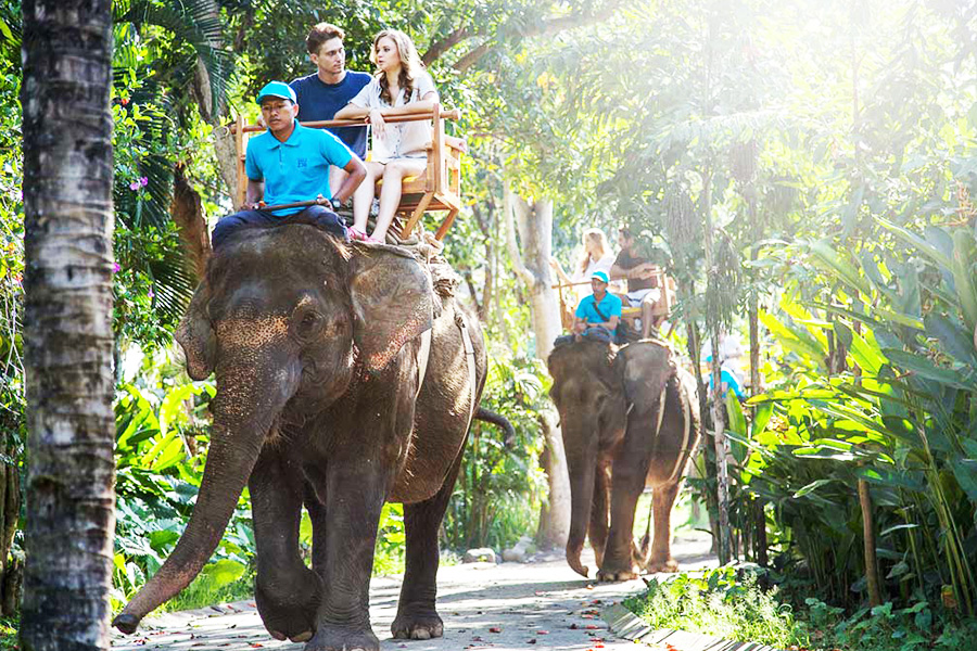 Bali Zoo - paket ekspedisi gajah