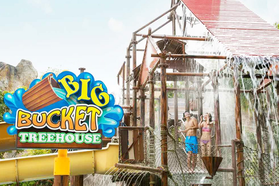 adventure cove waterpark
