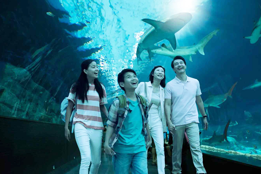 attractions in singapore