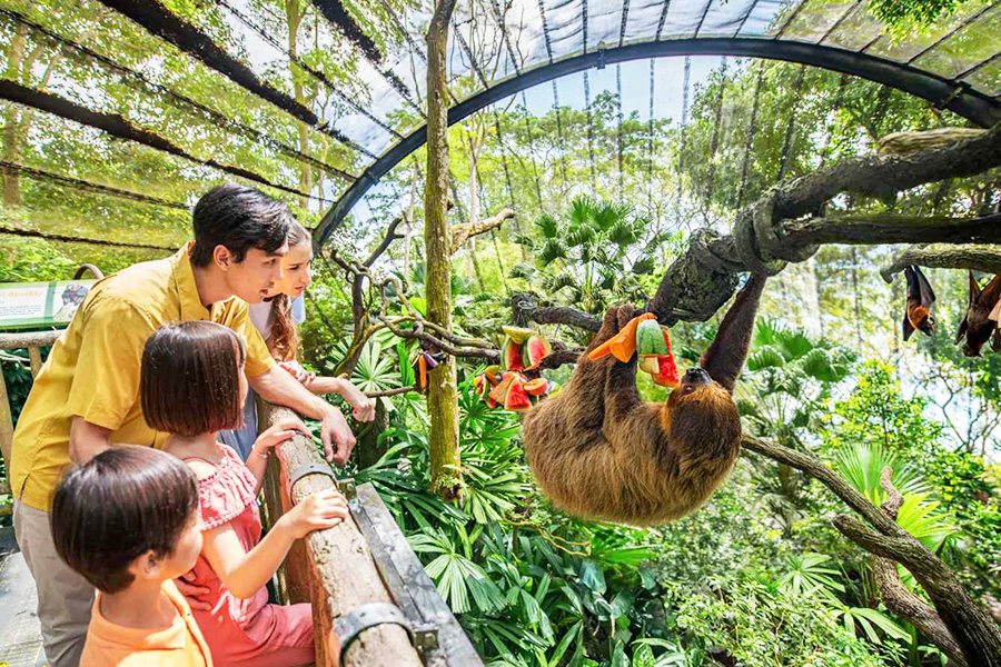 attractions in singapore