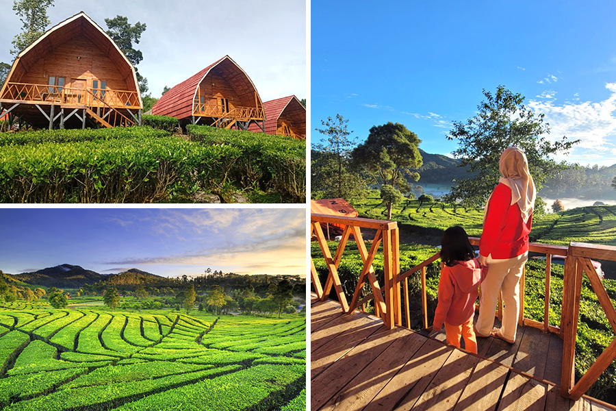 glamping bandung - Glamping di Gunung Bangku