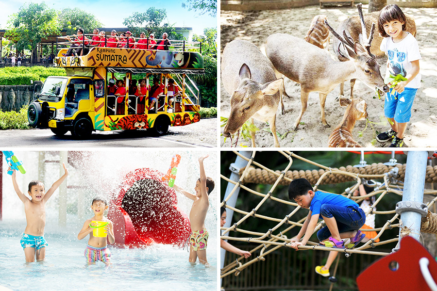 Bali Zoo - Aktivitas seru di Bali Zoo