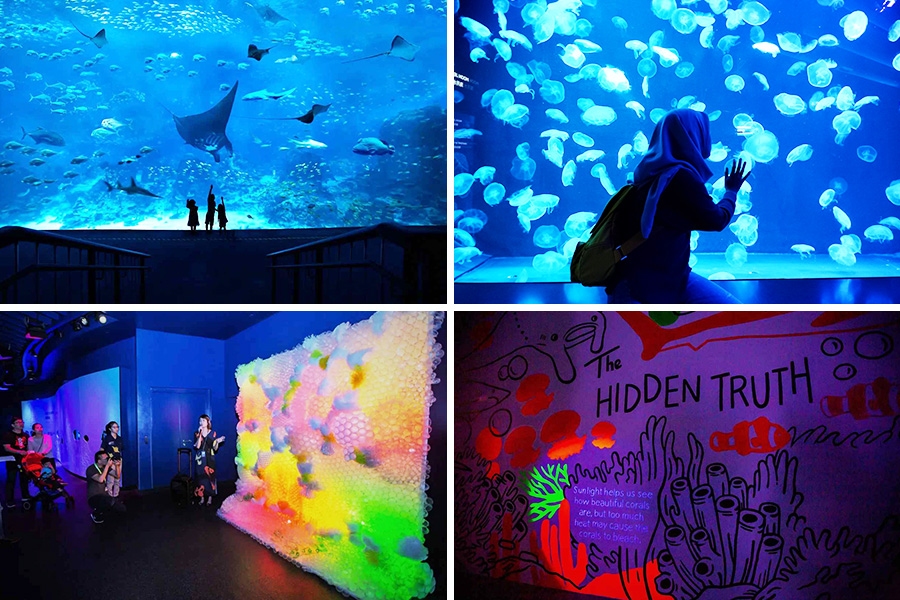 S.E.A. Aquarium Singapore