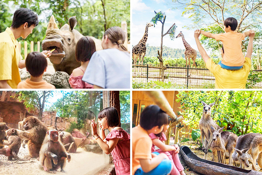 singapore zoo
