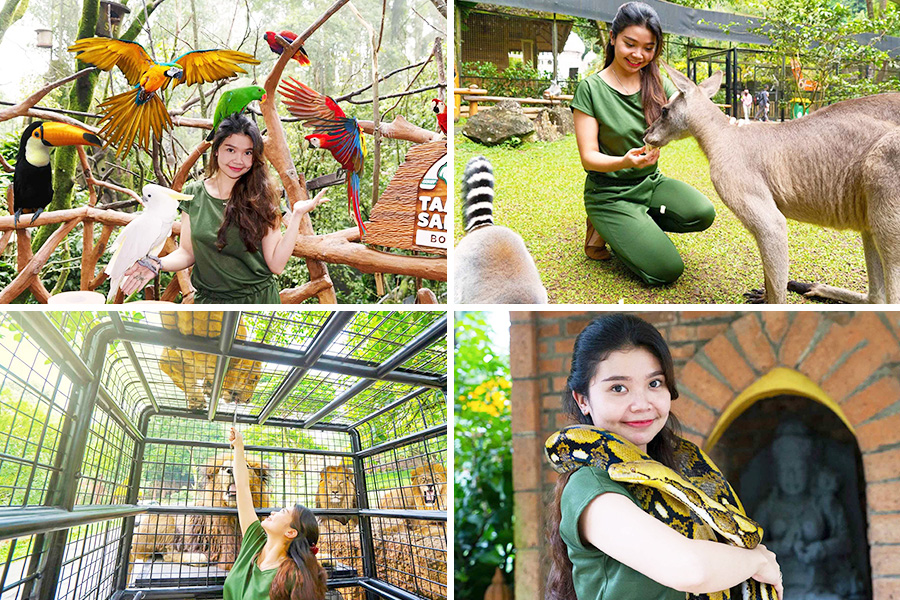 taman safari indonesia bogor