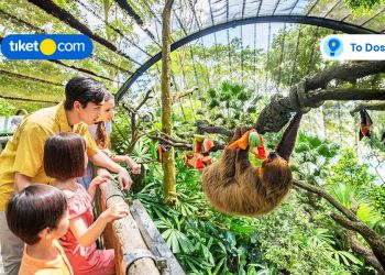 attractions in singapore