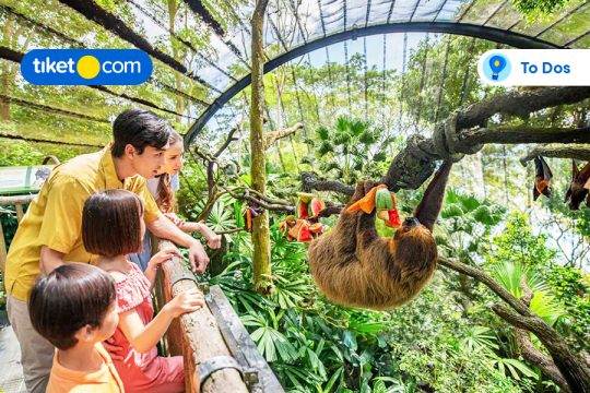 attractions in singapore