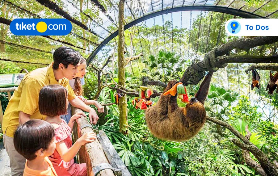 attractions in singapore