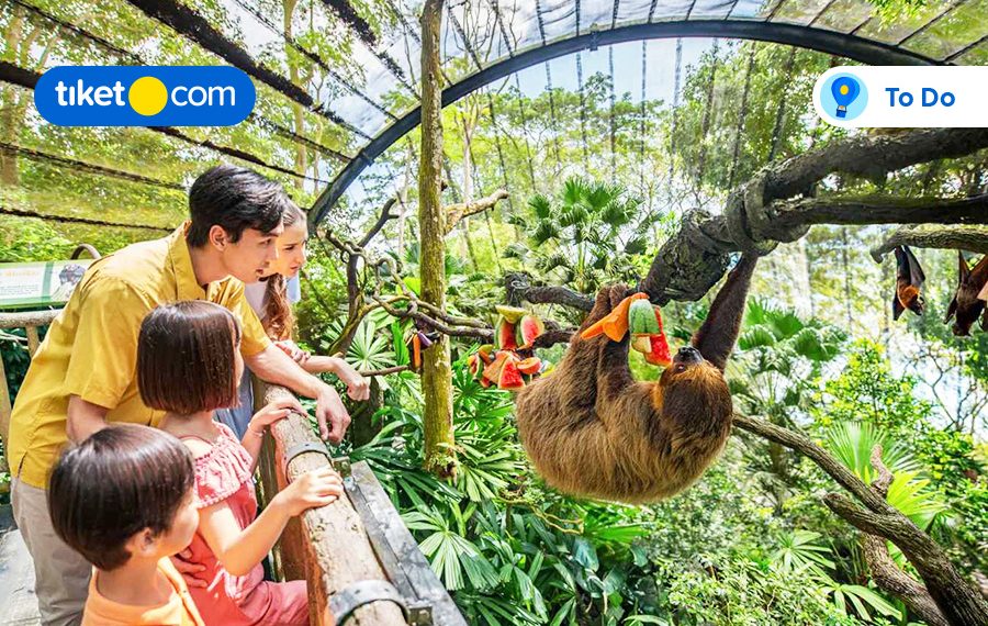Tempat Wisata yang Wajib Dicoba Saat ke Singapore! Bikin Kamu Betah~