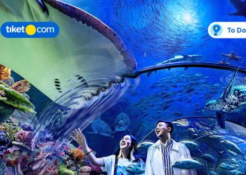 Aktivitas Domestik Terfavorit Pilihan sobat tiket di OTW! Ini Dia List-nya~