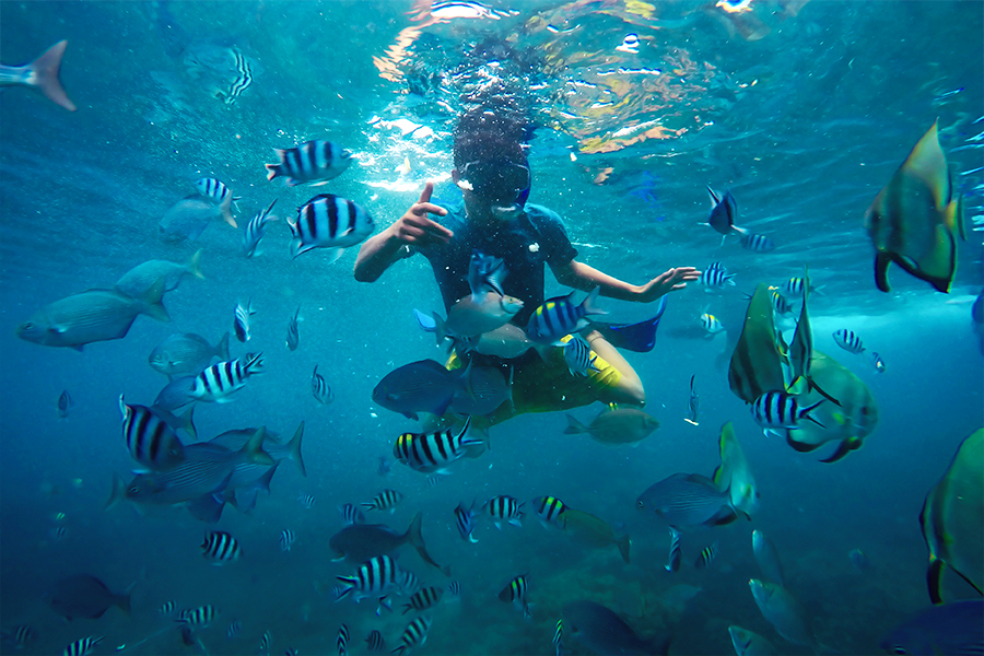 wisata banyuwangi - Bangsring Underwater