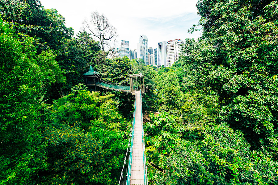 Kuala Lumpur Forest Eco Park
